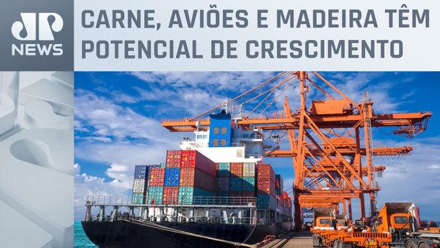 Exportações brasileiras para países árabes sobem 11% em 2023