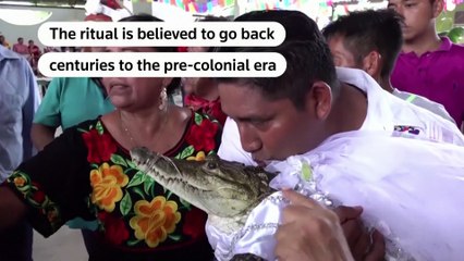 Mexican mayor weds crocodile in age-old ritual