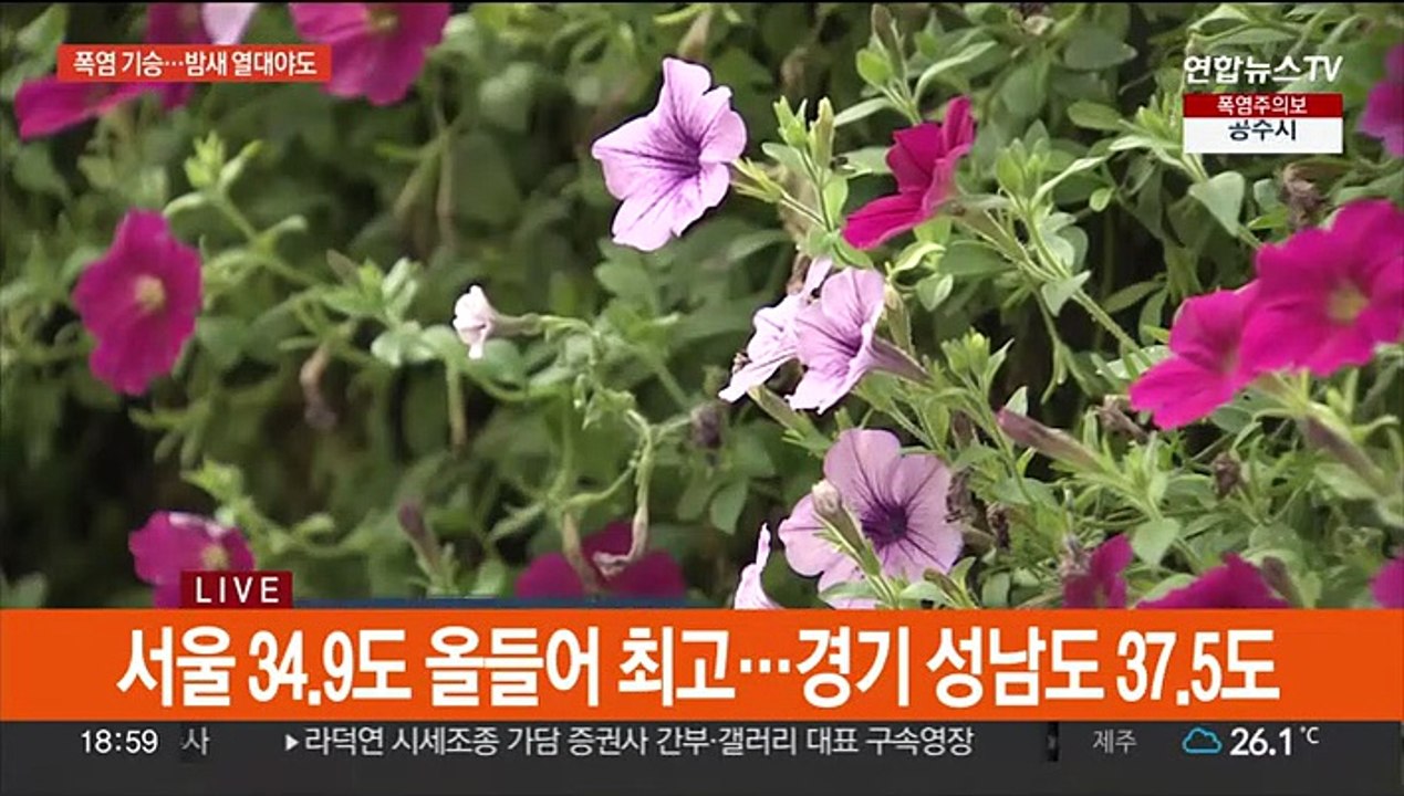 [날씨] 서울 34.9도 올해 최고 폭염…밤사이 열대야 기승
