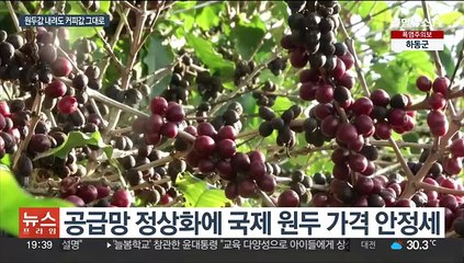원두는 5개월 만에 최저인데…"커피값 인하 없다"