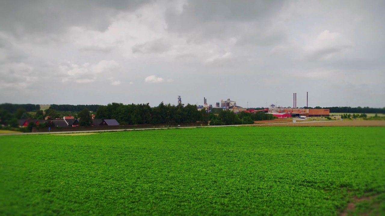 From beet to sugar