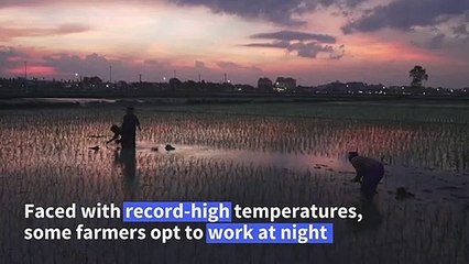 Vietnam farmers planting in the dark as heatwave looms