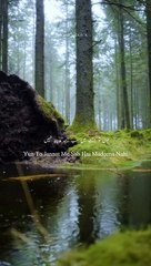 FOLLOW For Increase Your Islamic Knowledge   #madinah #madinamunawara #naat #trending #reelitfeelit #instagram