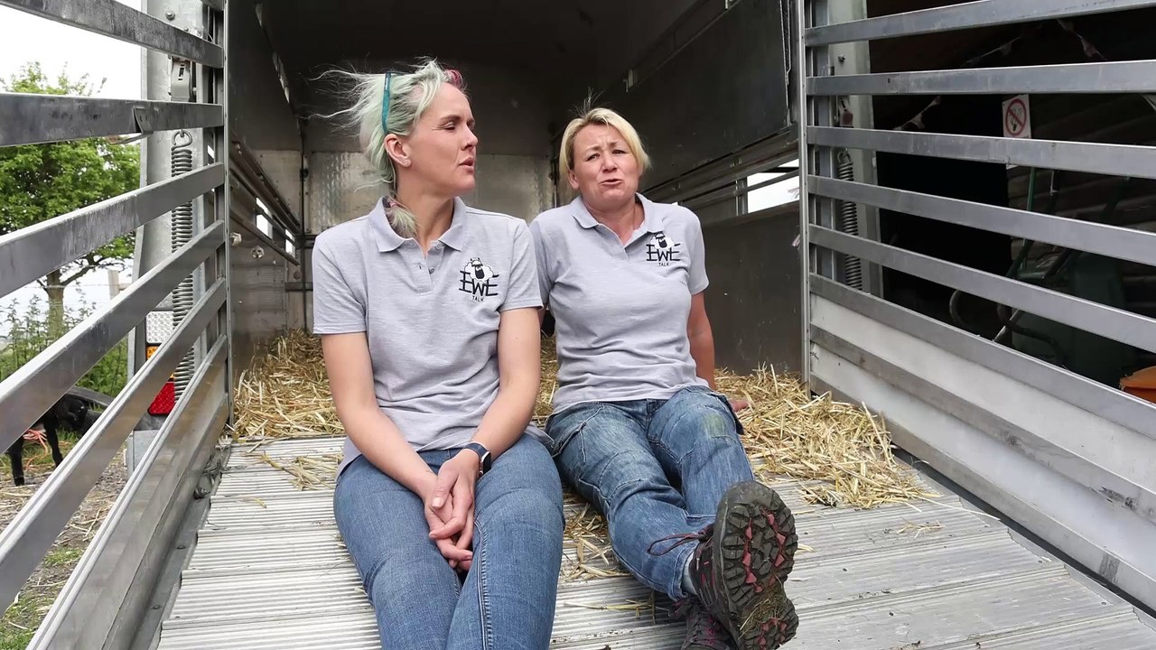 Support group using SHEEP to help people improve their mental health