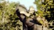 Extreme fights Lion vs Elephant who saved her baby, Wild Animals Attack (2)