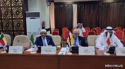 Riunione dei Paesi islamici dopo il rogo copia del Corano in Svezia