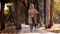 Why Multitasking While Walking Your Dog Isn’t a Good Idea