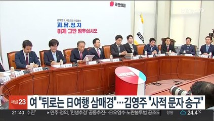 여 "뒤로는 日여행 삼매경"…김영주 "사적 문자 송구"