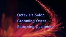 Octavia's Salon Grooming Oscar Returning Customer