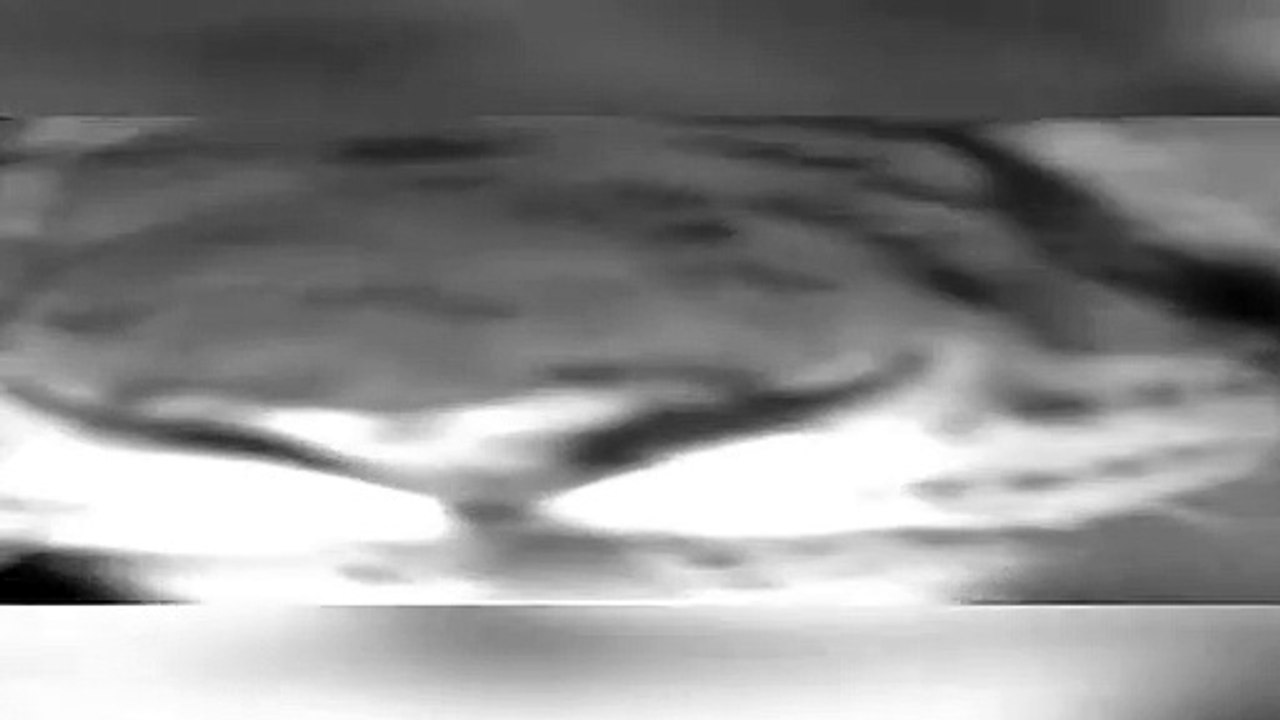 Des léopards des neiges repérés par des caméras infrarouges en Chine