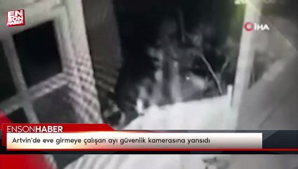 Artvin'de eve girmeye çalışan ayı güvenlik kamerasına yansıdı