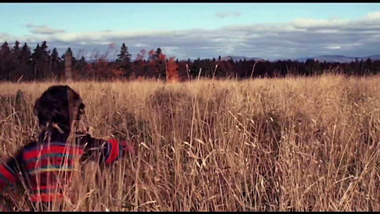 I Killed My Mother Trailer DF