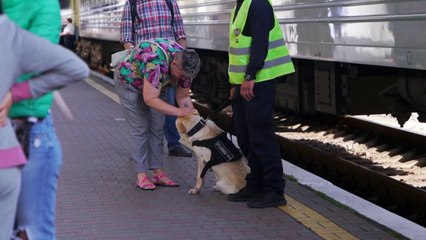 Dans les trains en Ukraine, des nouveaux compartiments réservés aux femmes