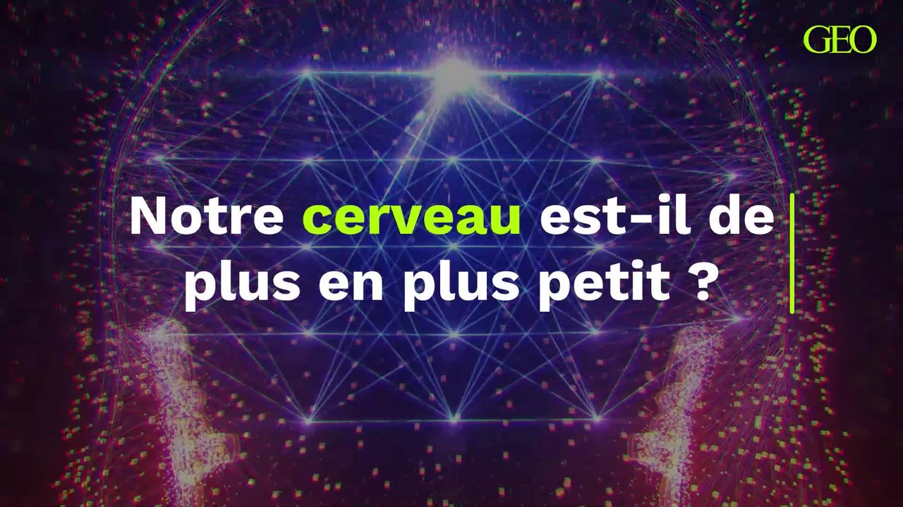 Notre cerveau est-il de plus en plus petit ?