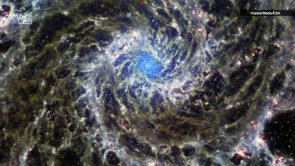 JWST Finishes Imaging the 4 Largest Planets in the Solar System in Spectacular Detail