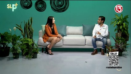 Cuidado para las plantas dentro de la casa