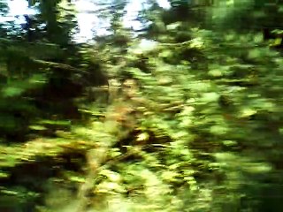 The crowning of Belphebe medius instrumental