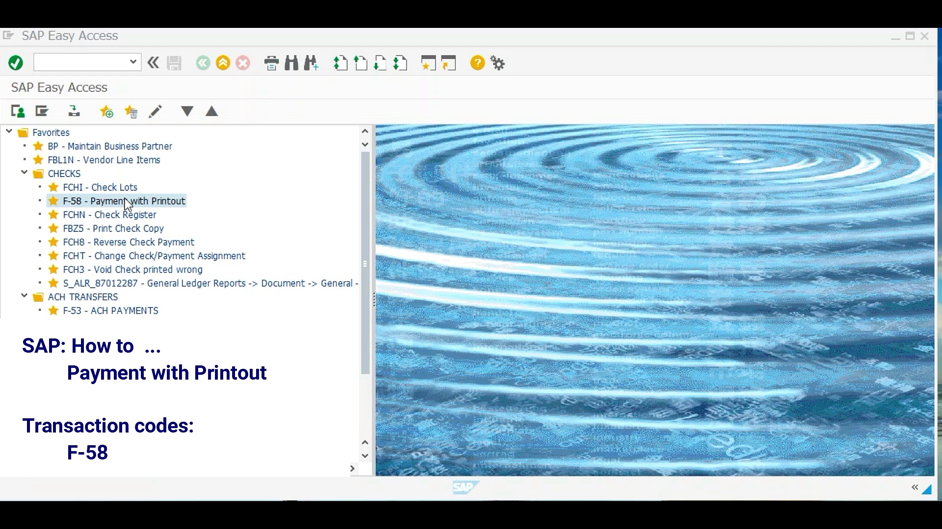 FI Payment with Printout