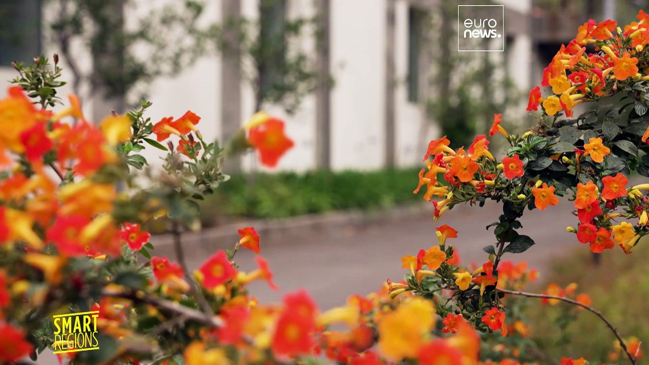 Madeira: pionierarbeit bei der energiewende