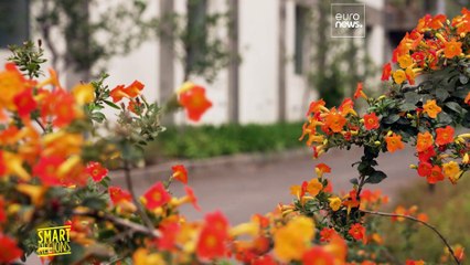 La sfida della transizione energetica a Madeira