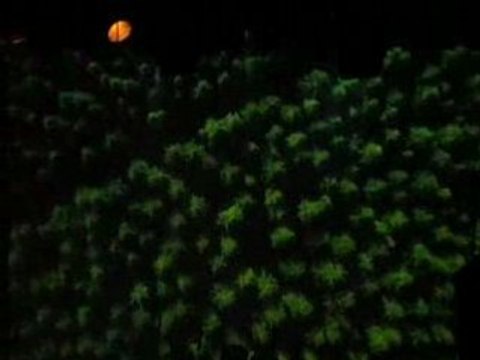 Colors - Girls In Hawaii @ Ninkasi Kao (5)