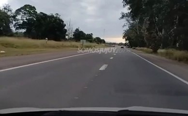 Accidente vial con caballo suelto en la ruta