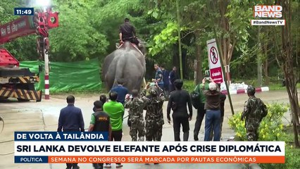 Sri Lanka devolve elefante após crise diplomática | BandNews Mundo