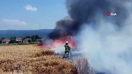 75 acres de champs de blé brûlés à Balikesir