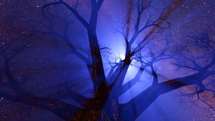 Relax with 8D Chill Music 🎧 | Royalty-Free Tracks for Your Projects