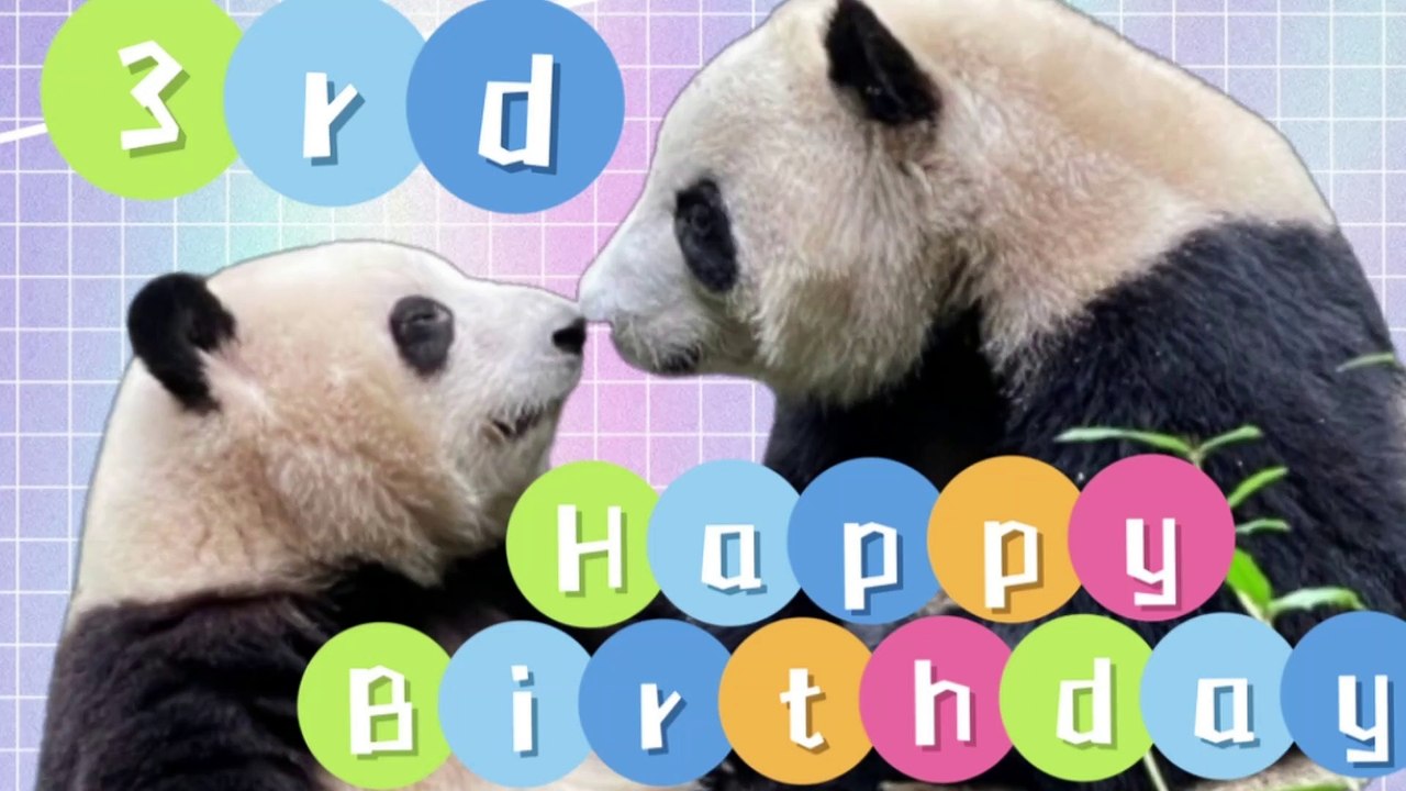 Happy Birthday To He Hua And He Yue04/07/2023