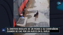 El emotivo rescate de un perro a su compañero cuando se cae por un hueco en el suelo