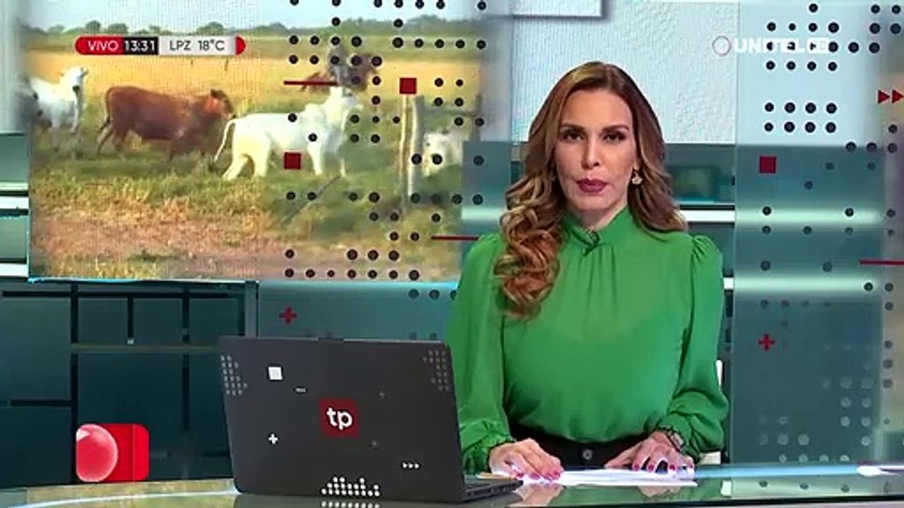 Fegasacruz considera que las exportaciones pueden oxigenar la economía