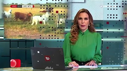 Fegasacruz considera que las exportaciones pueden oxigenar la economía