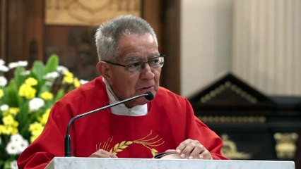 Santa Misa - 03 Julio 2023 - Catedral Metropolitana