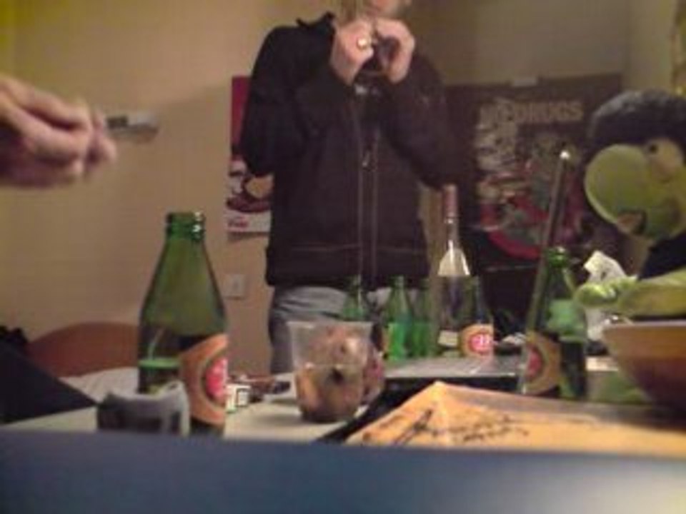 GROS DOSSIERS!!!!!!!!!!!!!!!!!!!??????? N°2