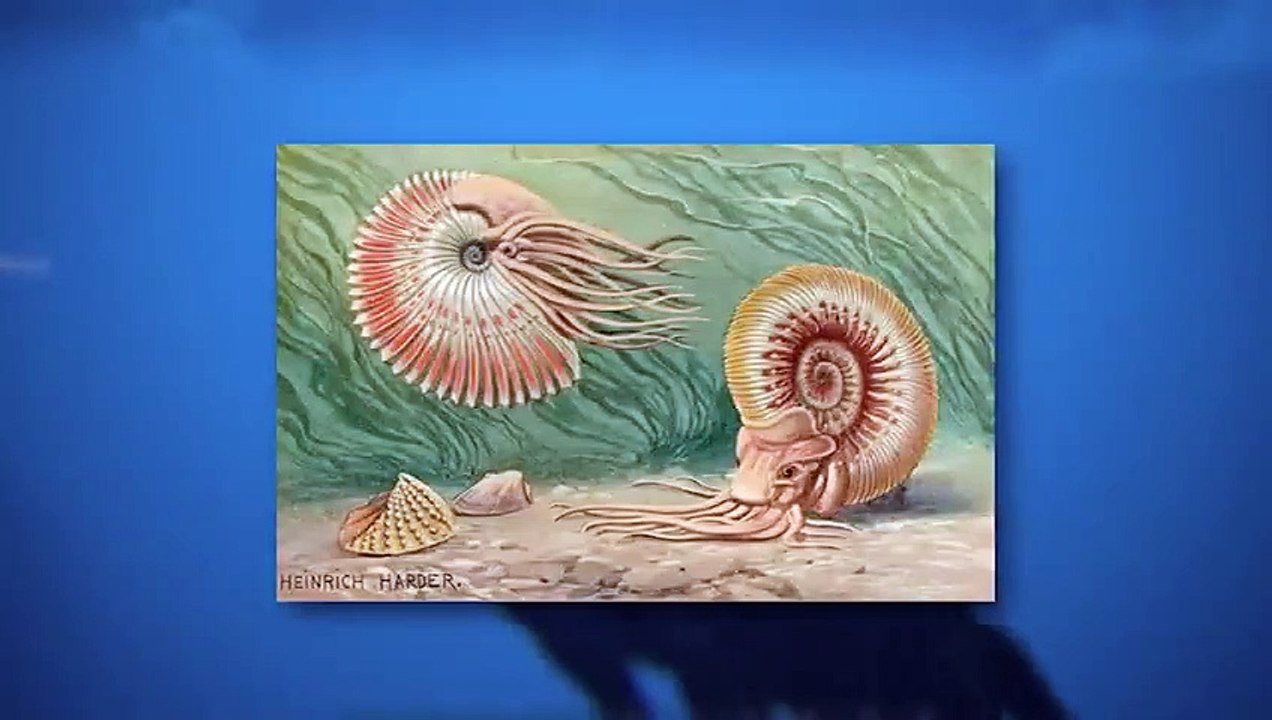 MOSASAURUS - Das Letzte Gigantische Reptil im Meer