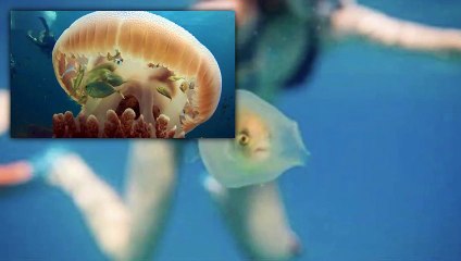 40 Faszinierende Bilder erklärt – Entdecke die Geheimnisse hinter den beeindruckendsten Aufnahmen 📸