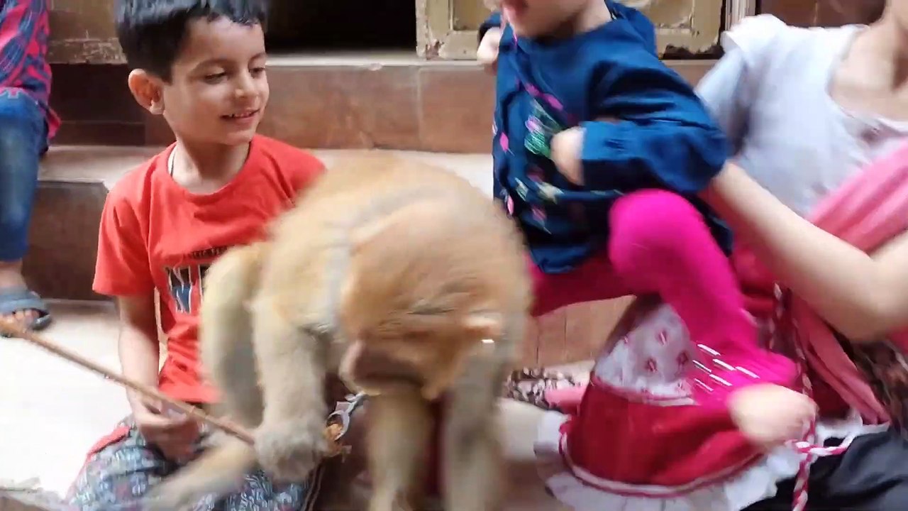 saim or mishi ny monkey ------ sy dusti Kar li _funny(1080P_HD)