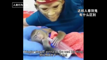 Abnormal Monkeys(1080P_HD)
