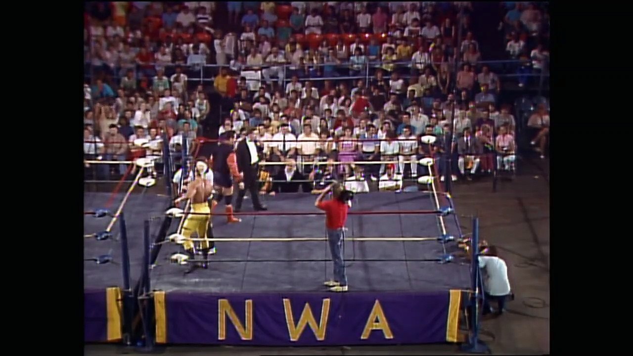 Sting vs. Mike Rotunda for the TV Title