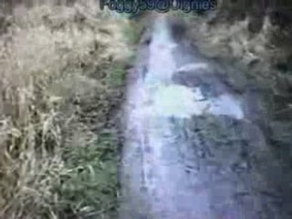 VTT TERRIL FOGGY59@Oignies_2