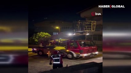 Zonguldak'ta kedi kurtarma operasyonu: O anlar kamerada 