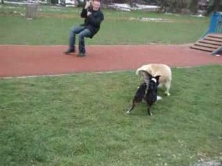 cheyenne et chelsea bagarre