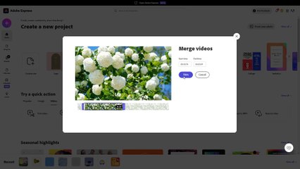 Adobe Express Course Section 42 Merging Videos Together