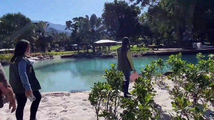 Neymar é multado em R$ 16 milhões por lago artificial em mansão