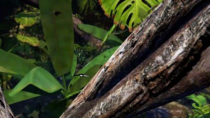 La végétalisation urbaine