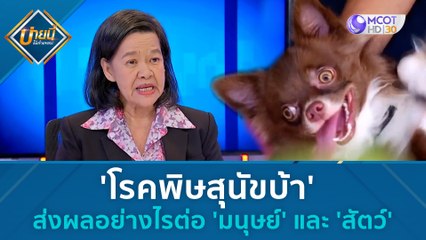 'โรคพิษสุนัขบ้า' ส่งผลอย่างไรต่อ 'มนุษย์' และ 'สัตว์'  | บ่ายนี้มีคำตอบ (29 มิ.ย. 66)
