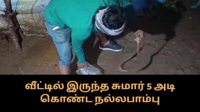 கடலூர்: வீட்டிற்குள் புகுந்த சுமார் 5 அடி பாம்பு!