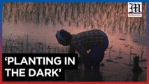 Vietnamese farmers plant crops at night to ace heatwave