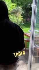 Surprising little sister after 12 weeks of lockdown.